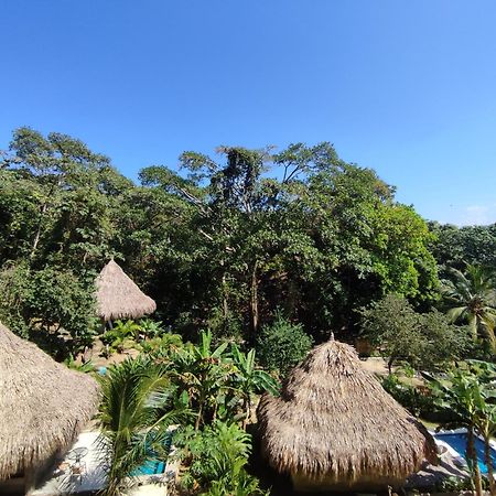 Bed and Breakfast Colibri Parque Tayrona Dentro Del Parque Nacional Tayrona El Zaino Exteriér fotografie