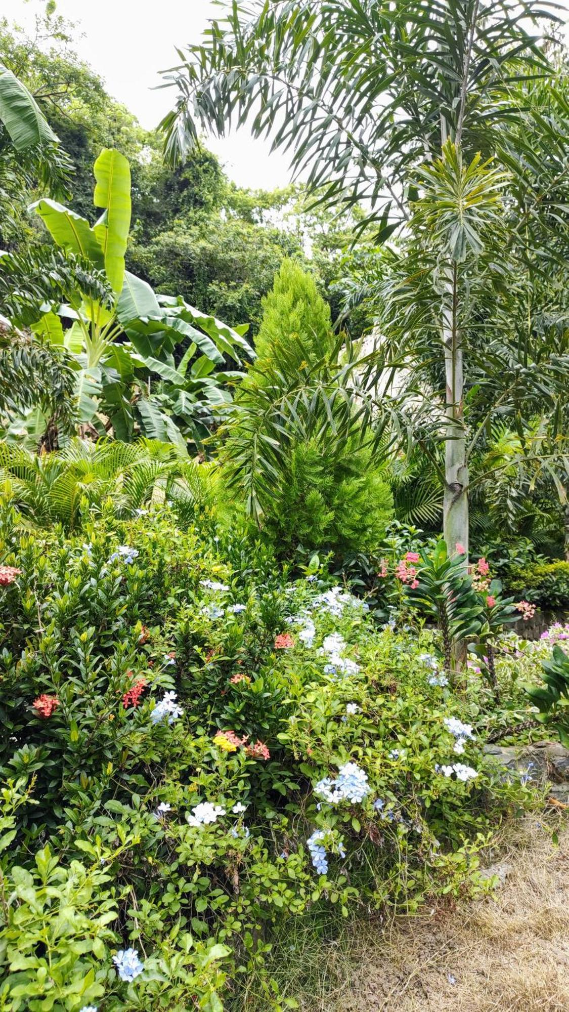 Bed and Breakfast Colibri Parque Tayrona Dentro Del Parque Nacional Tayrona El Zaino Exteriér fotografie