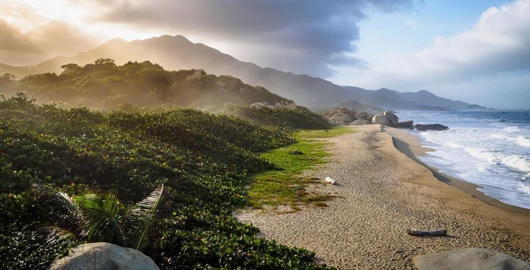 Bed and Breakfast Colibri Parque Tayrona Dentro Del Parque Nacional Tayrona El Zaino Exteriér fotografie