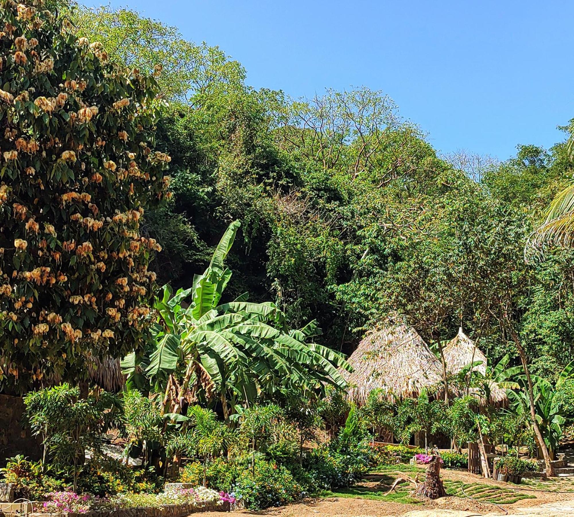 Bed and Breakfast Colibri Parque Tayrona Dentro Del Parque Nacional Tayrona El Zaino Exteriér fotografie