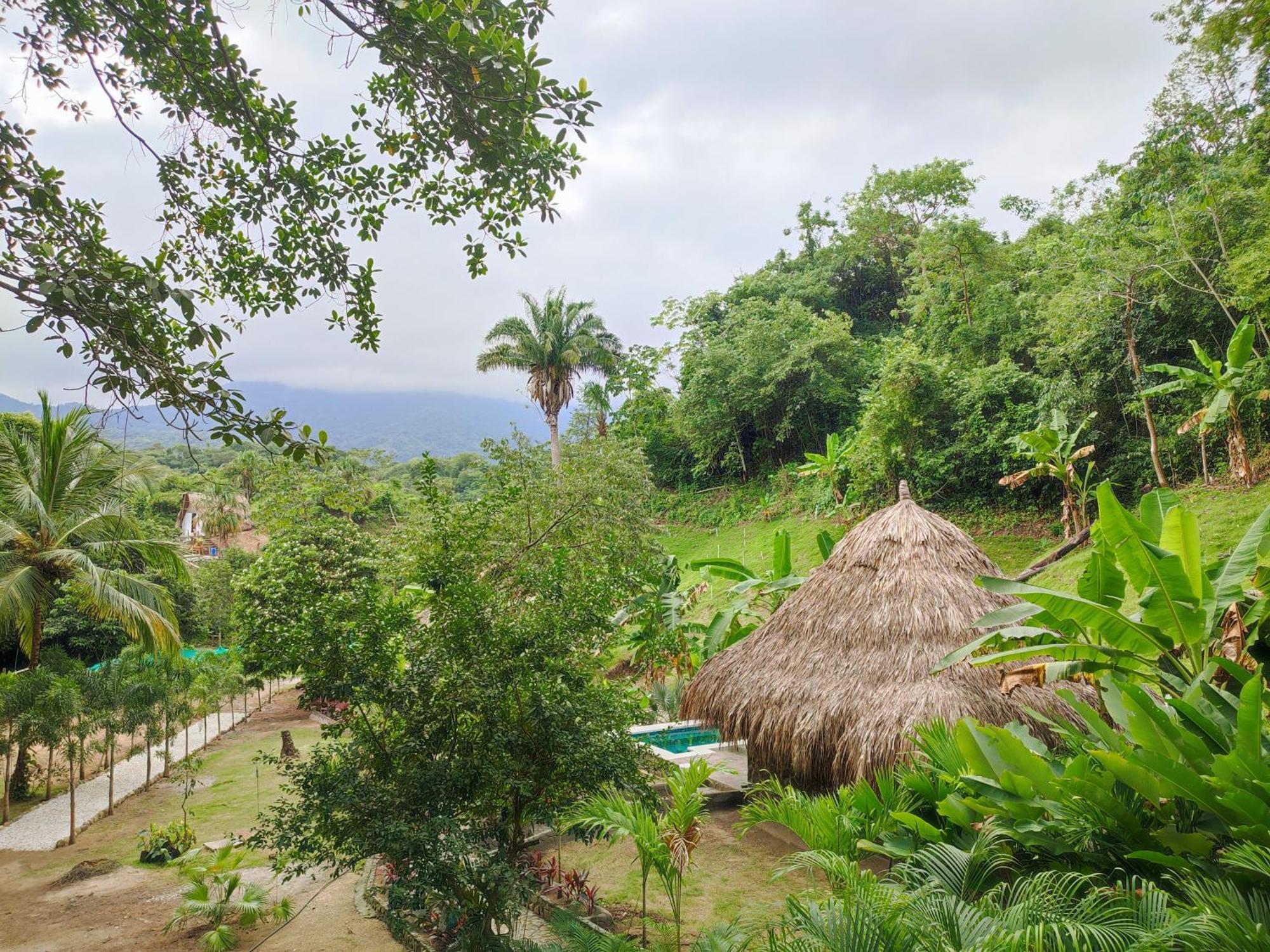 Bed and Breakfast Colibri Parque Tayrona Dentro Del Parque Nacional Tayrona El Zaino Exteriér fotografie