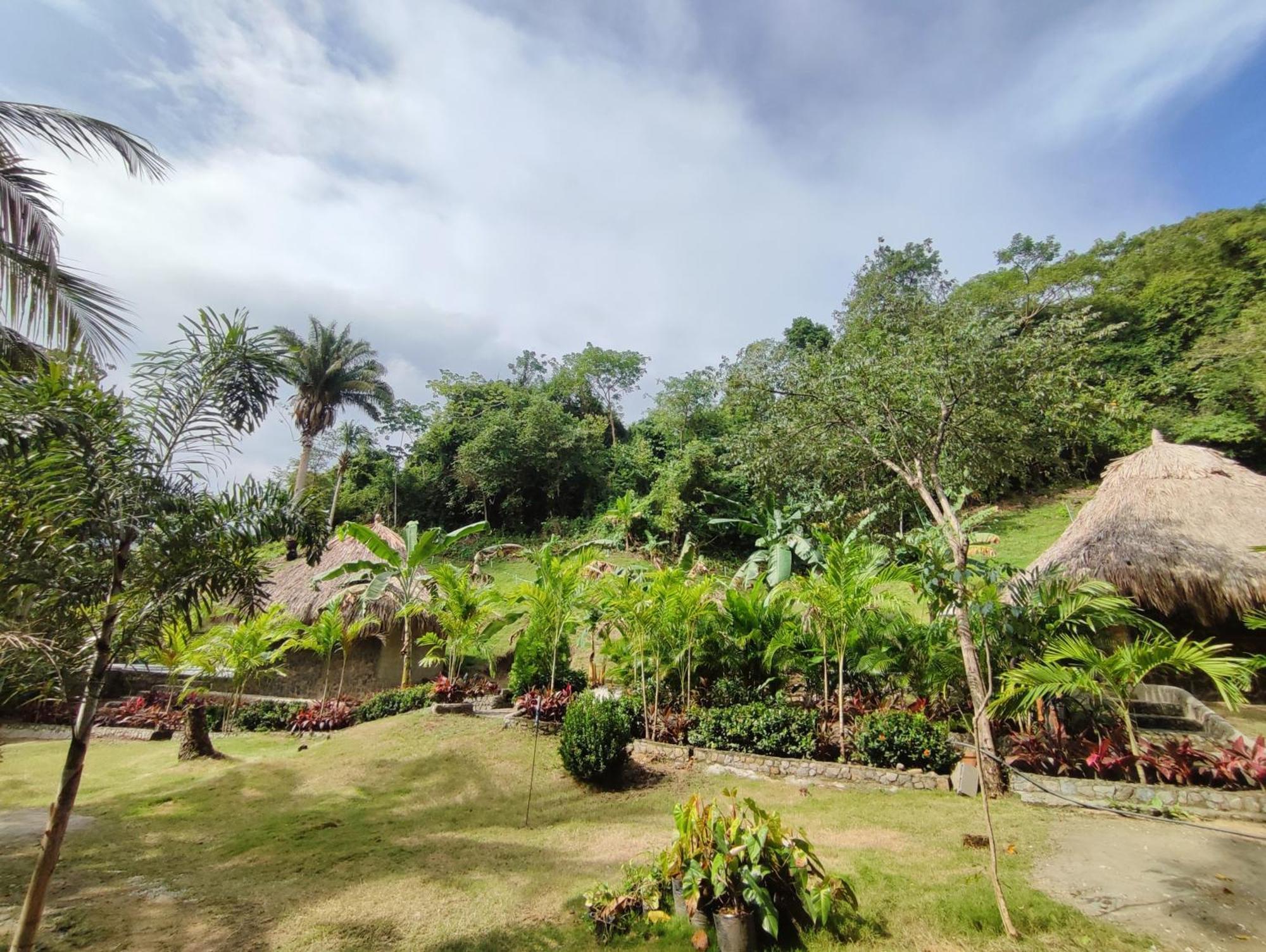 Bed and Breakfast Colibri Parque Tayrona Dentro Del Parque Nacional Tayrona El Zaino Exteriér fotografie