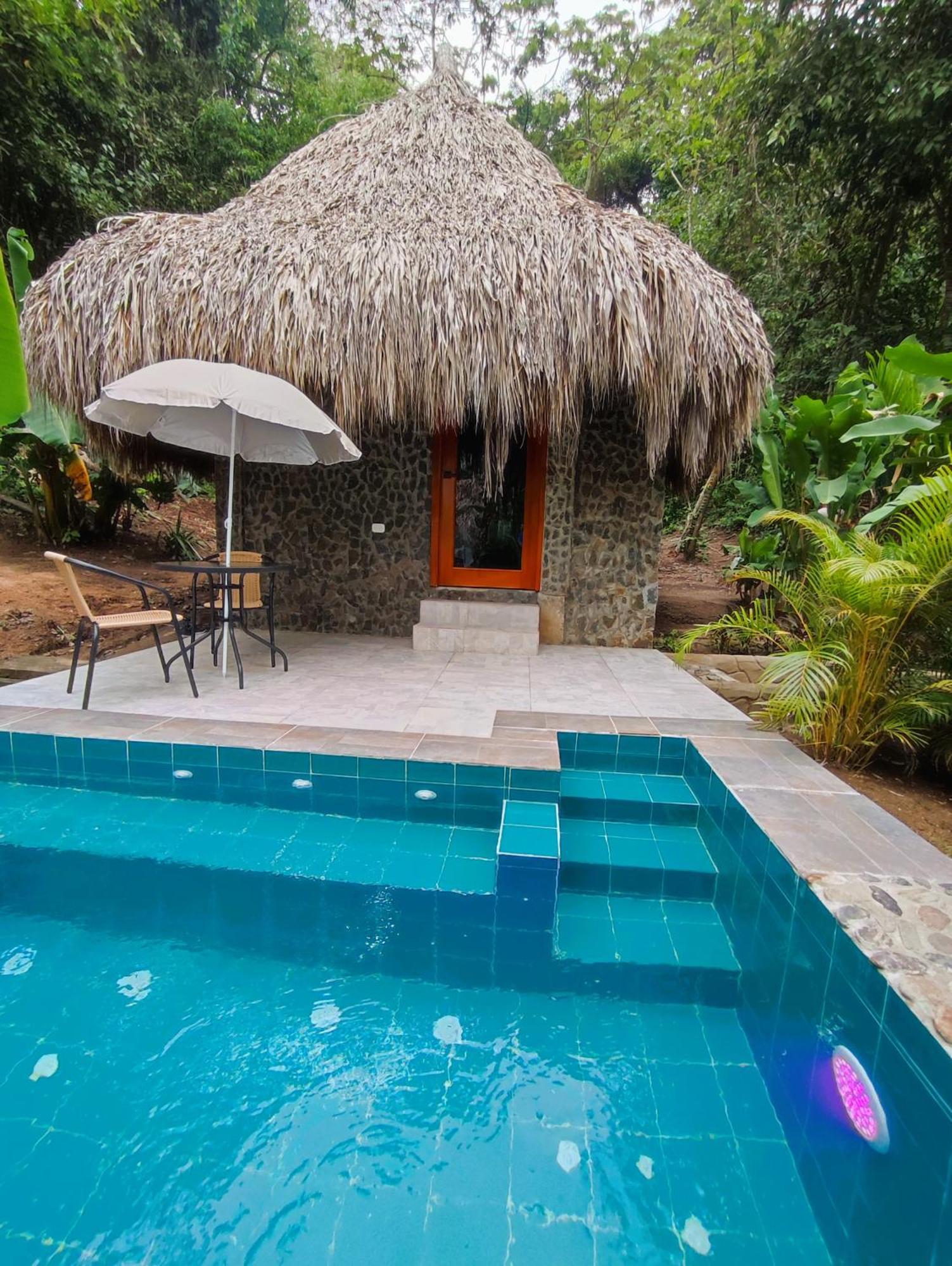 Bed and Breakfast Colibri Parque Tayrona Dentro Del Parque Nacional Tayrona El Zaino Exteriér fotografie