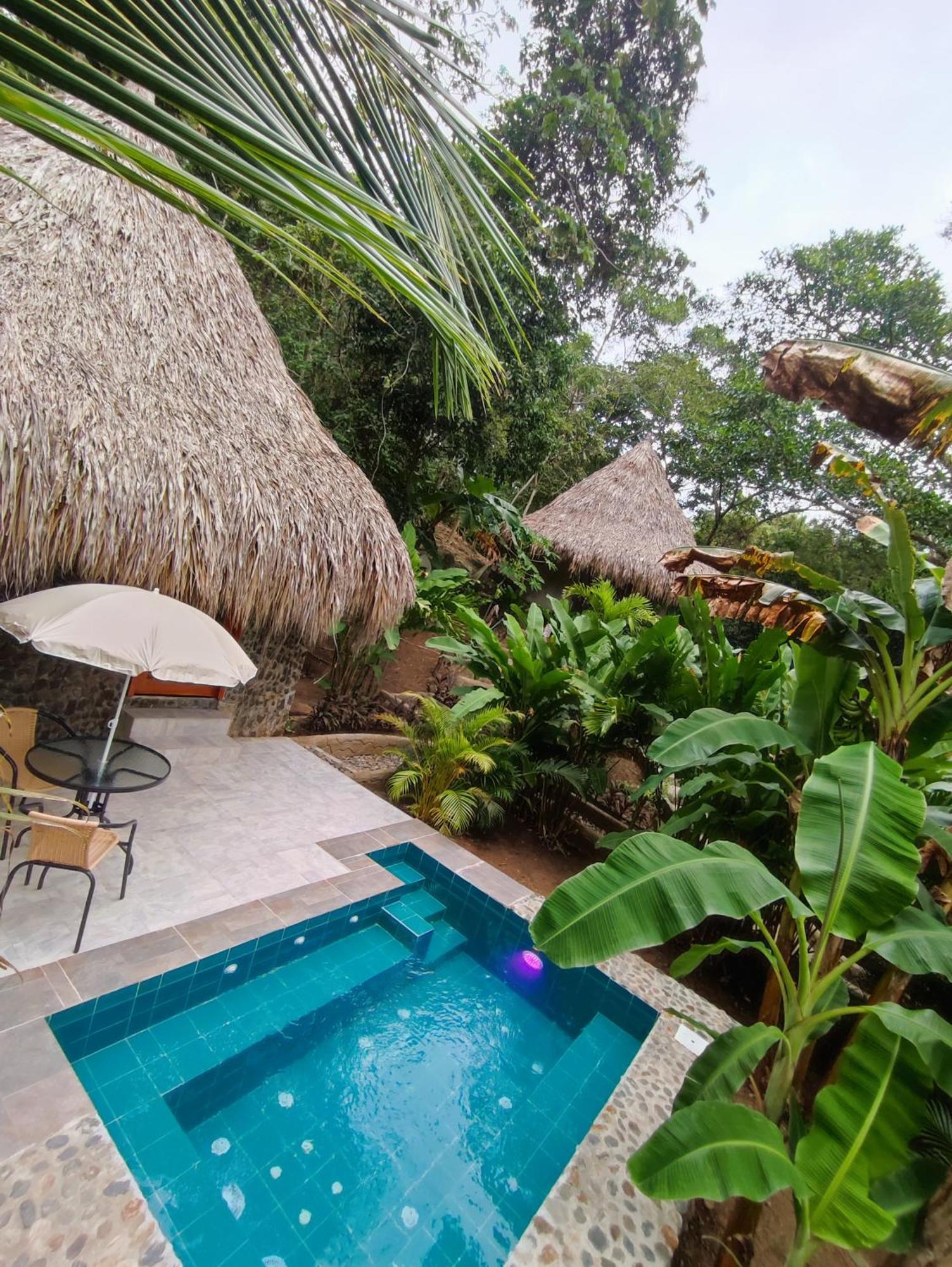 Bed and Breakfast Colibri Parque Tayrona Dentro Del Parque Nacional Tayrona El Zaino Exteriér fotografie