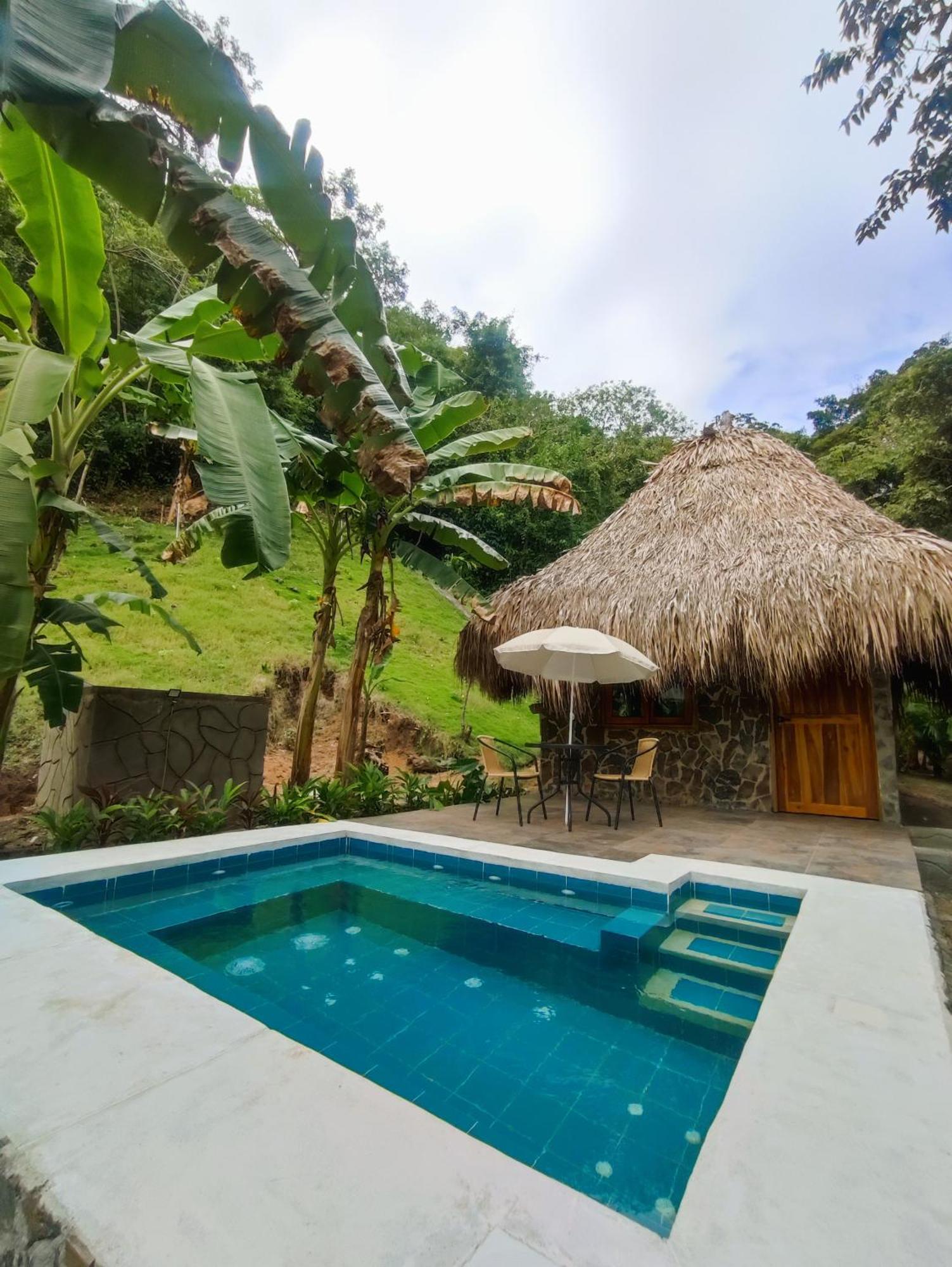 Bed and Breakfast Colibri Parque Tayrona Dentro Del Parque Nacional Tayrona El Zaino Exteriér fotografie