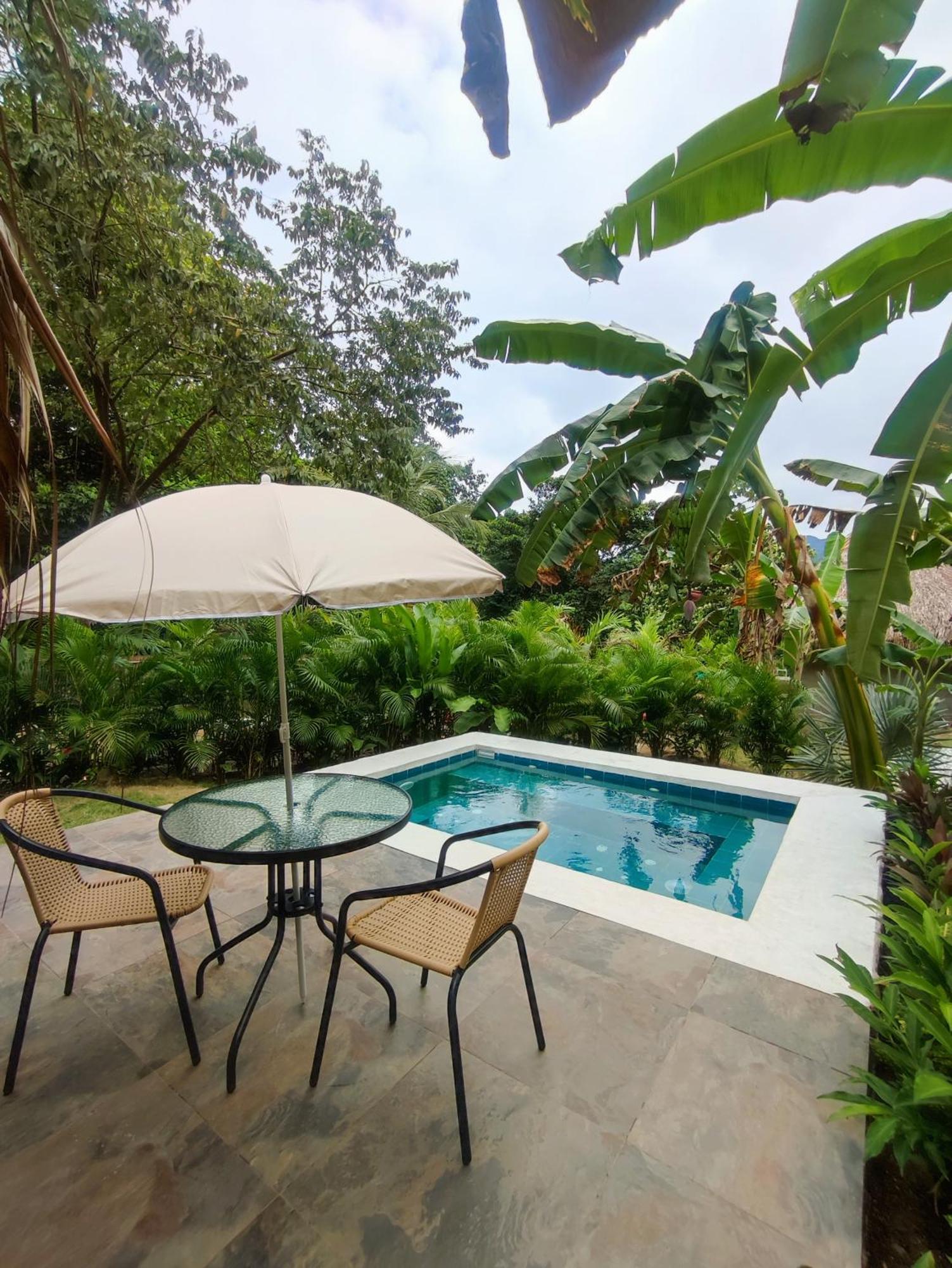 Bed and Breakfast Colibri Parque Tayrona Dentro Del Parque Nacional Tayrona El Zaino Exteriér fotografie